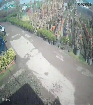 Caméra IP - Türkiye