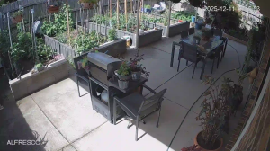 Caméra IP - Australia