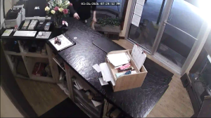 Caméra IP - États-Unis d'Amérique