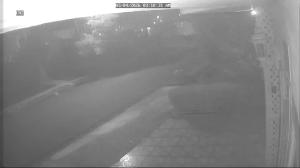 Caméra IP - Porto Rico