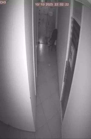 Caméra IP - Israel