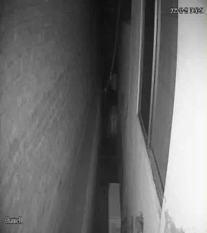 Caméra IP - Pakistan