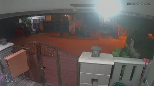 Caméra IP - Malaisie