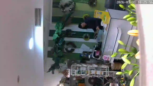 Caméra IP - Alemania