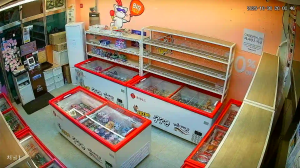 Caméra IP - Südkorea