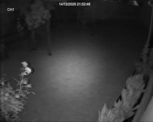 Caméra IP - Australie