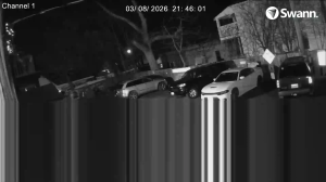 Caméra IP - Vereinigte Staaten von Amerika