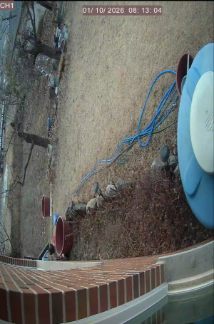 Caméra IP - South Korea