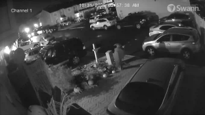 Caméra IP - United States of America