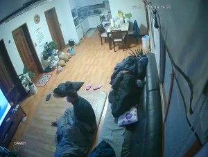 Caméra IP - South Korea