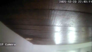 Caméra IP - Argentina