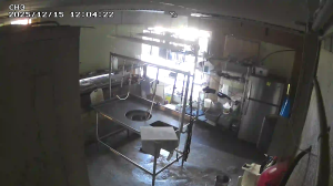 Caméra IP - United States of America