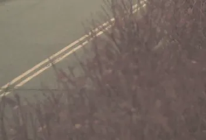 Caméra IP - États-Unis d'Amérique