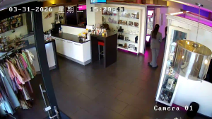 Caméra IP - Netherlands