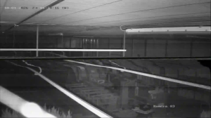 Caméra IP - Netherlands