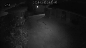 Caméra IP - South Korea