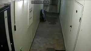 Caméra IP - Russian Federation