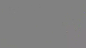 Caméra IP - Russian Federation