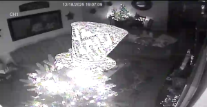 Caméra IP - United States of America