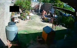 Caméra IP - Argentina