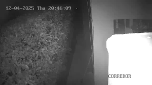 Caméra IP - Colombia