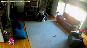 Caméra IP - United States of America