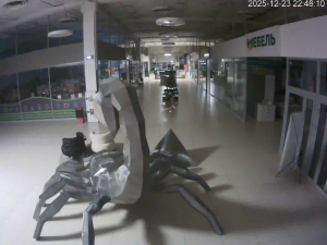 Caméra IP - Belarus