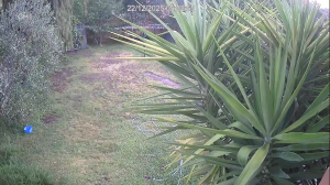 Caméra IP - Australien