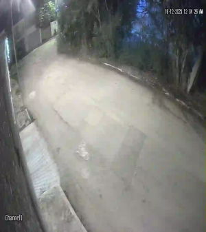 Caméra IP - México