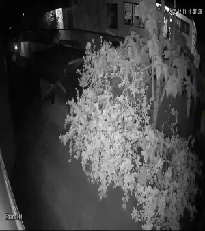 Caméra IP - Suriname