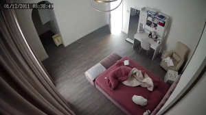 Caméra IP - Émirats Arabes Unis