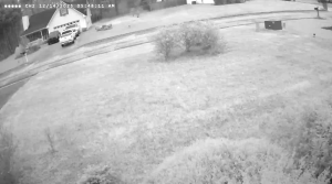 Caméra IP - United States of America