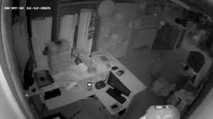 Caméra IP - Russische Föderation