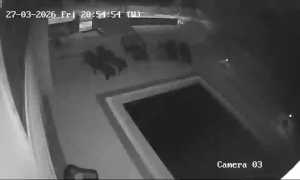 Caméra IP - Croatie