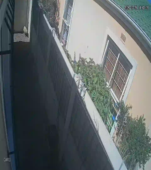 Caméra IP - Südafrika