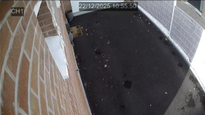 Caméra IP - Frankreich