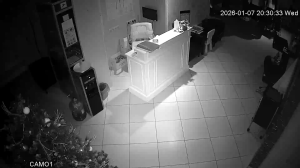 Caméra IP - Russische Föderation