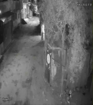 Caméra IP - Égypte