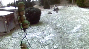 Caméra IP - Estonia