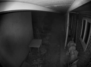 Caméra IP - República de Corea