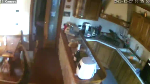 Caméra IP - Stati Uniti d'America