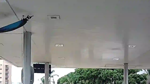 Caméra IP - Brésil