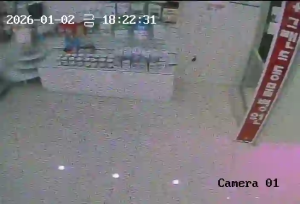 Caméra IP - Südkorea