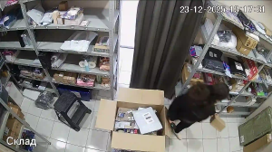 Caméra IP - Russian Federation