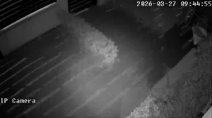 Caméra IP - Romania