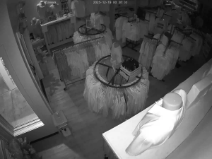 Caméra IP - États-Unis d'Amérique