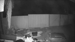 Caméra IP - Australia