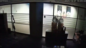 Caméra IP - Paesi Bassi