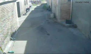 Caméra IP - Argentina