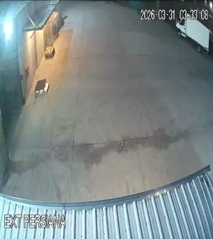 Caméra IP - Argentine